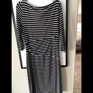 Business causal knee length knit dress